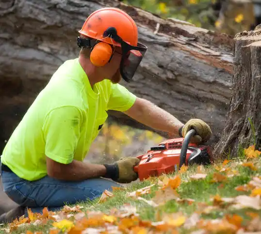 tree services Weldon Spring